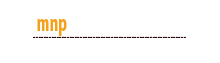 mnpwebsolution logo